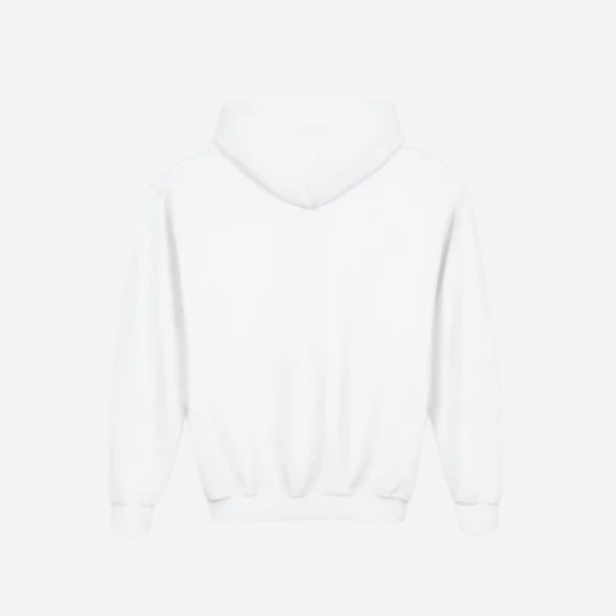 Youth Hooded Sweatshirt